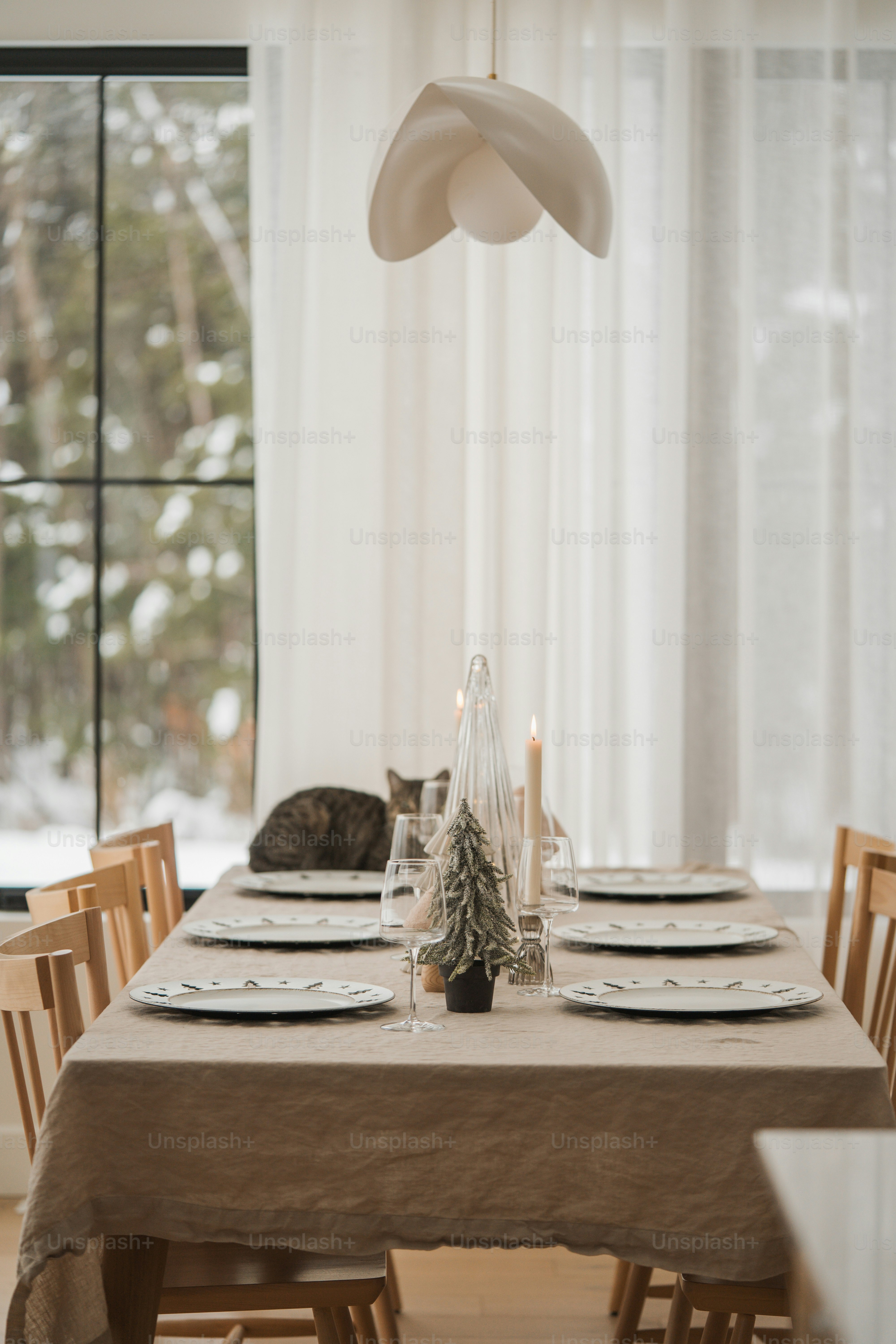 uma mesa de jantar com um gato dormindo sobre a mesa
