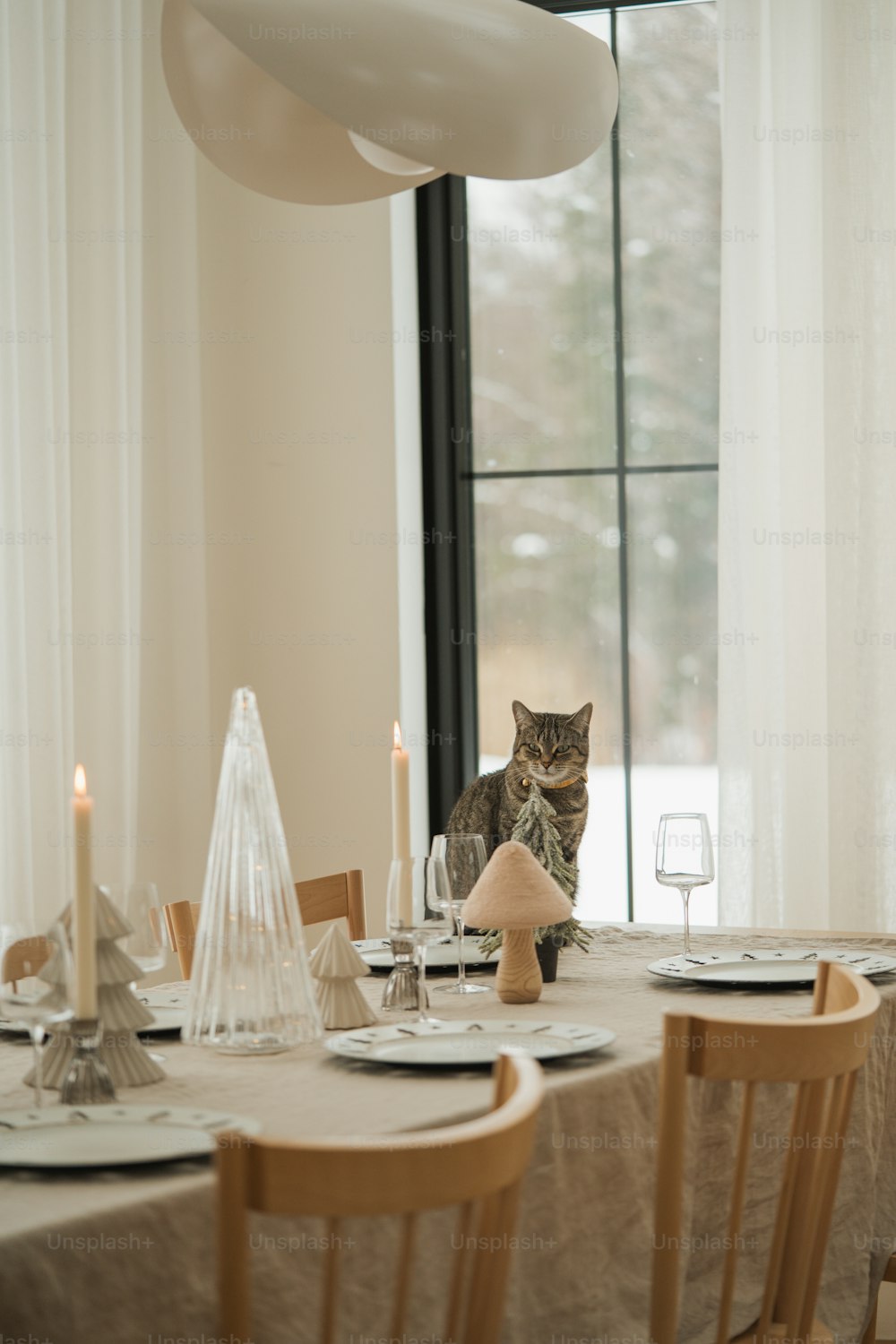 a cat sitting on a table in front of a window