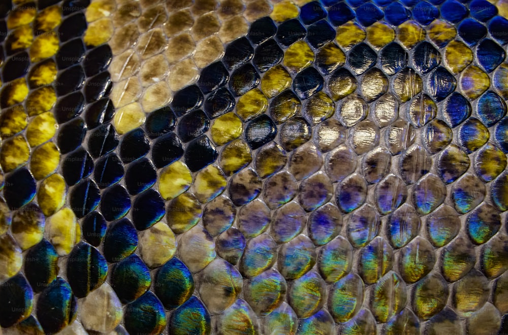 a close up of a snake skin pattern