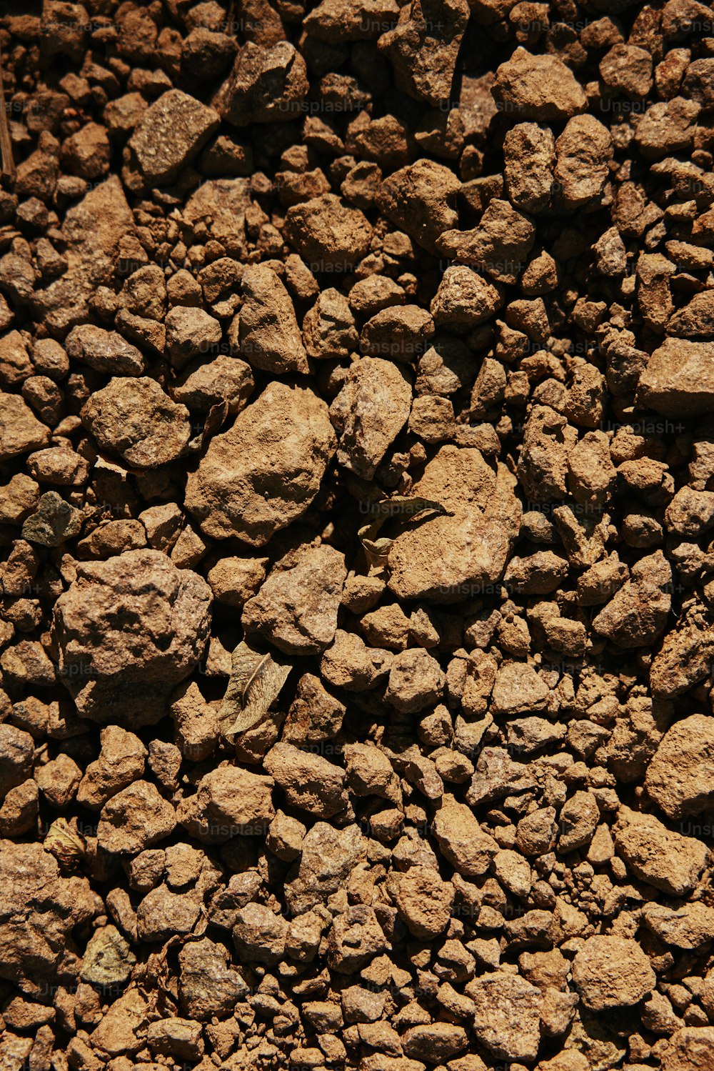 a close up of rocks and dirt on a sunny day