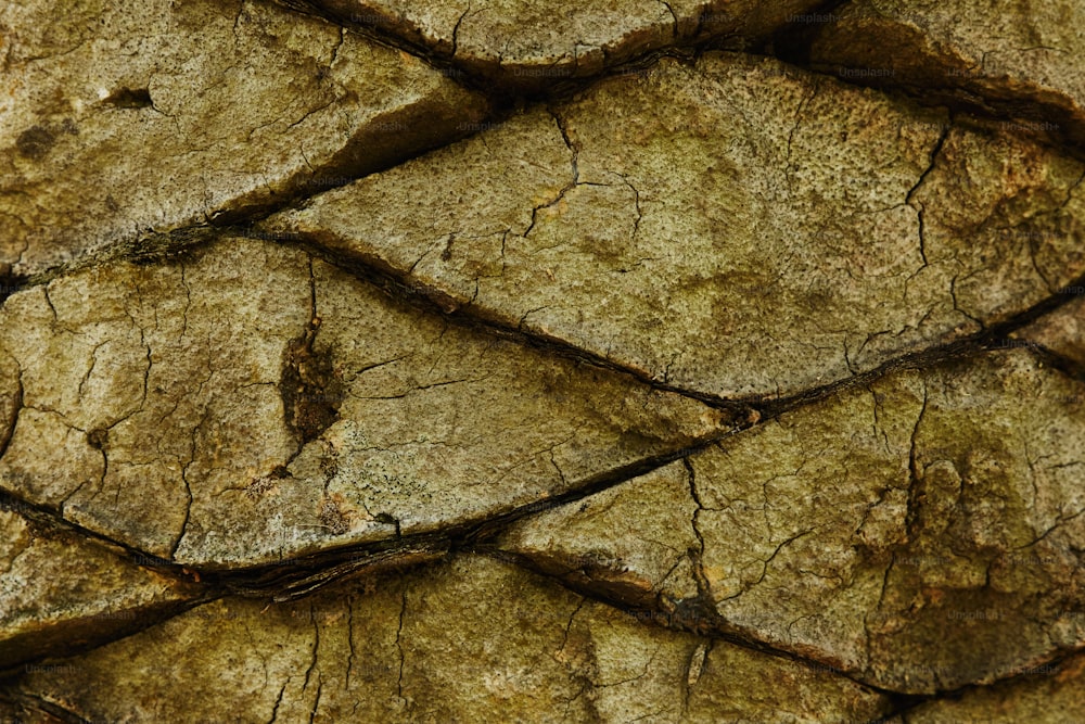 a close up of a rock with cracks in it
