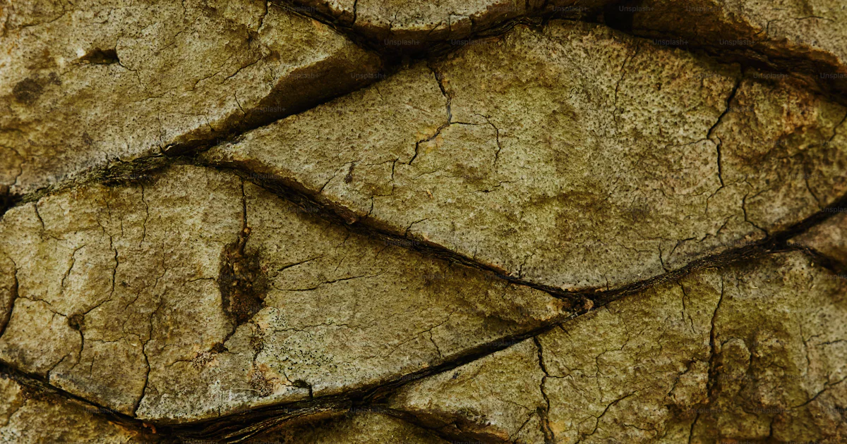 A close up of a rock with cracks in it photo – Nature Image on Unsplash