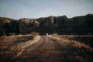 a person walking down a dirt road in the mountains