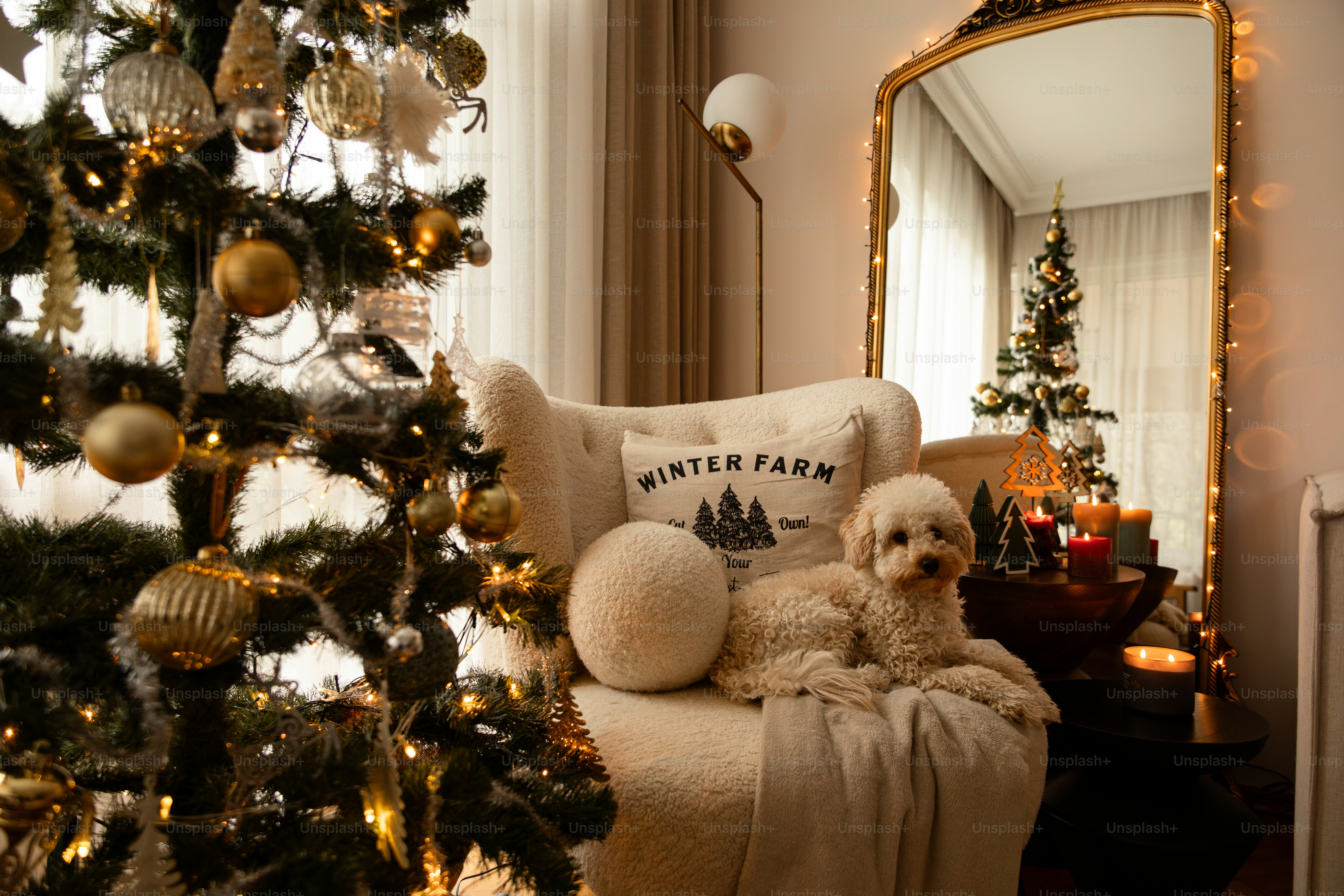 a dog sitting on a chair next to a christmas tree