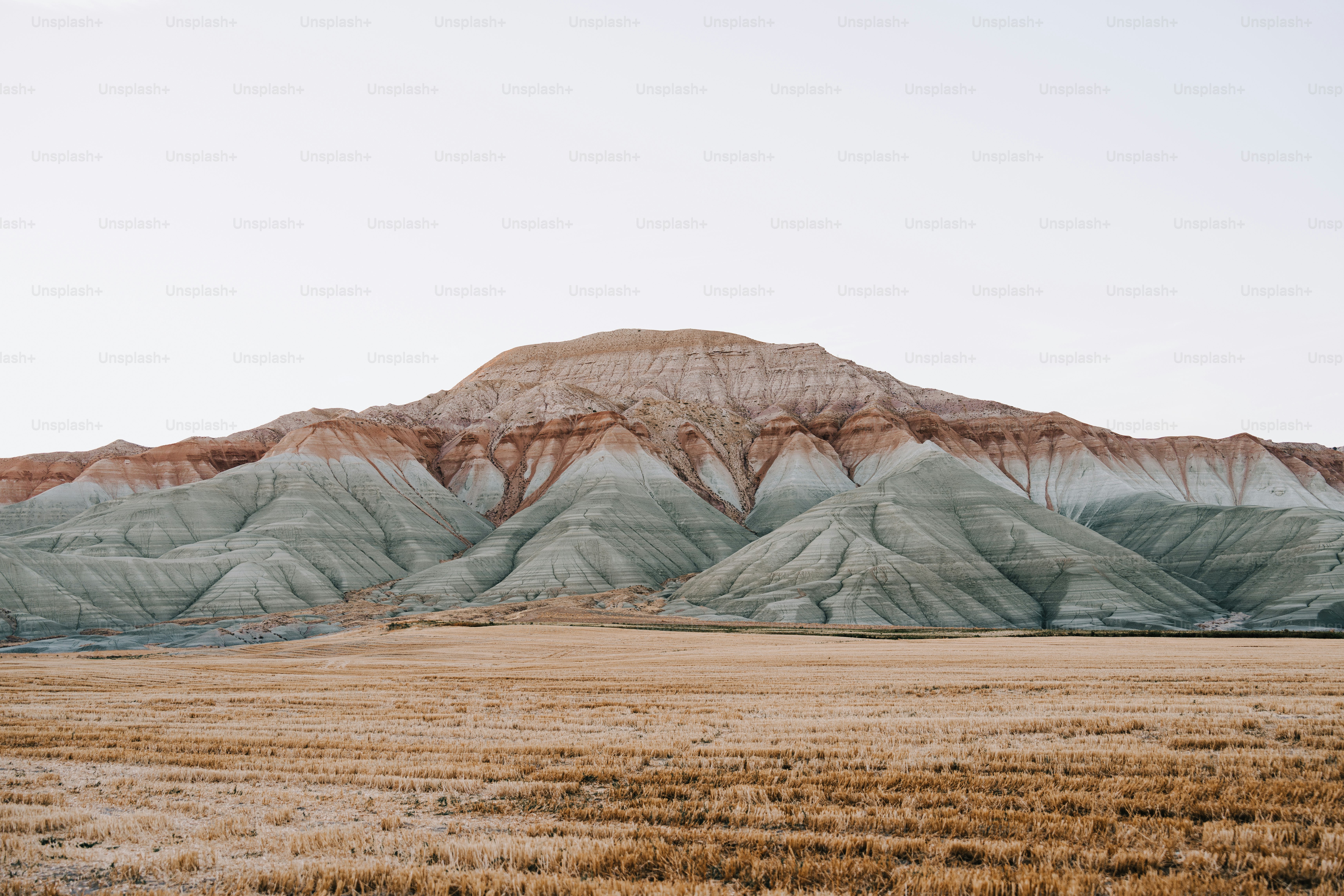 a field with a mountain in the background