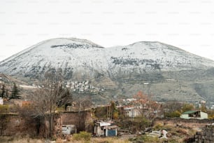 a snow covered mountain is in the distance