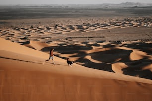 una persona y un perro paseando por el desierto