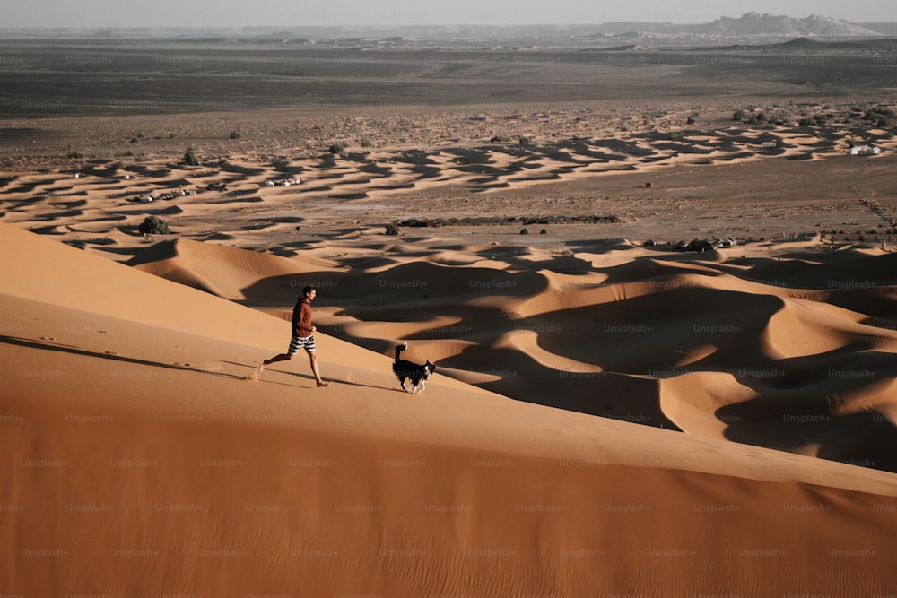 a person and a dog walking in the desert