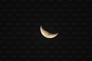 a half moon is seen in the dark sky