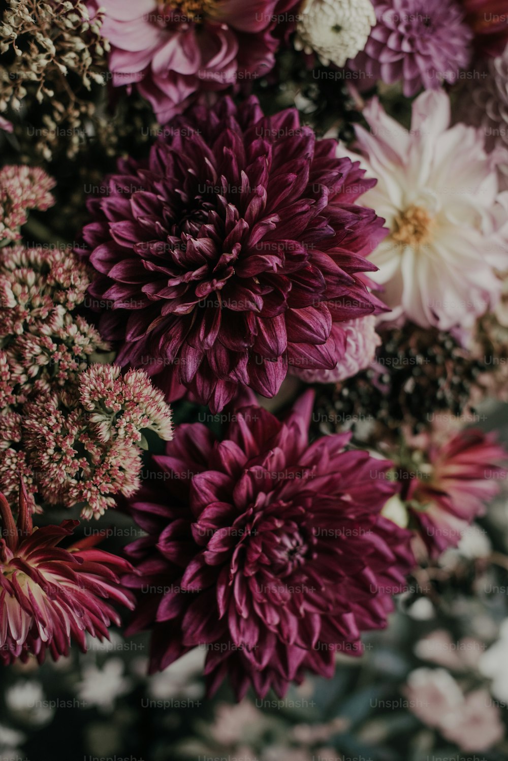 a close up of a bunch of flowers