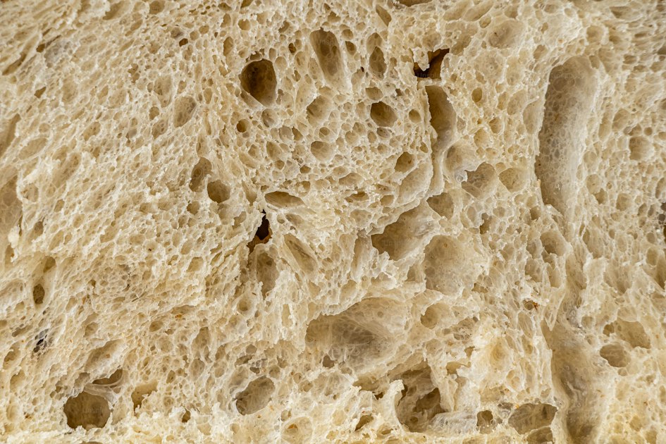 What Your Sourdough Crumb Is Trying to Tell You