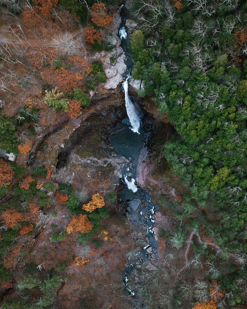 an aerial view of a river running through a forest