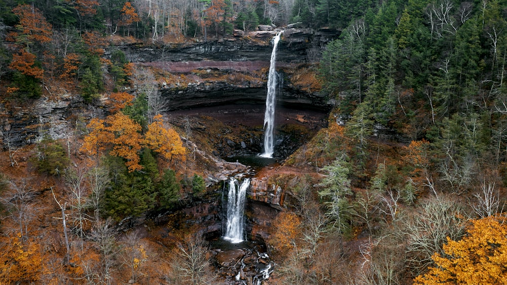 ein Wasserfall mitten im Wald