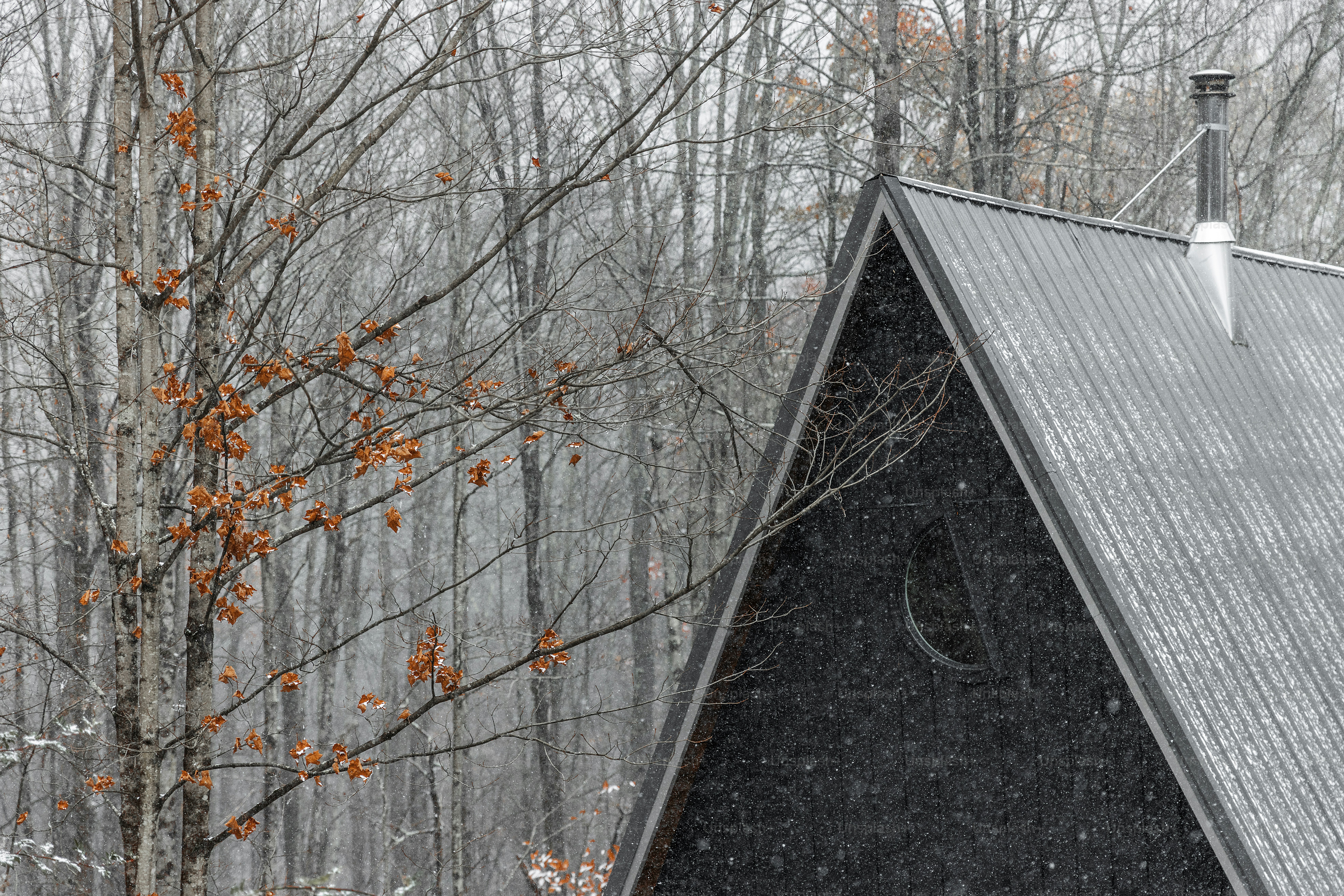 a triangle shaped building in the middle of a forest