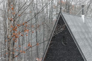숲 한가운데에 있는 삼각형 모양의 건물