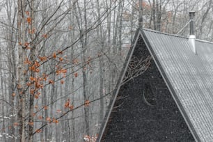 a triangle shaped building in the middle of a forest