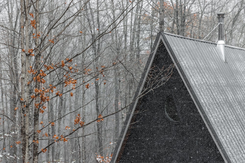 a triangle shaped building in the middle of a forest