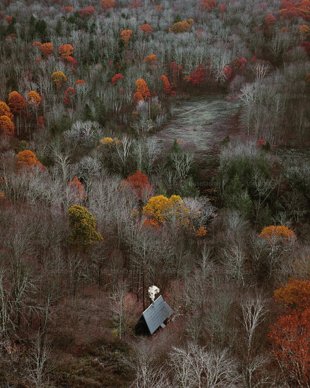 an aerial view of a wooded area with a satellite dish