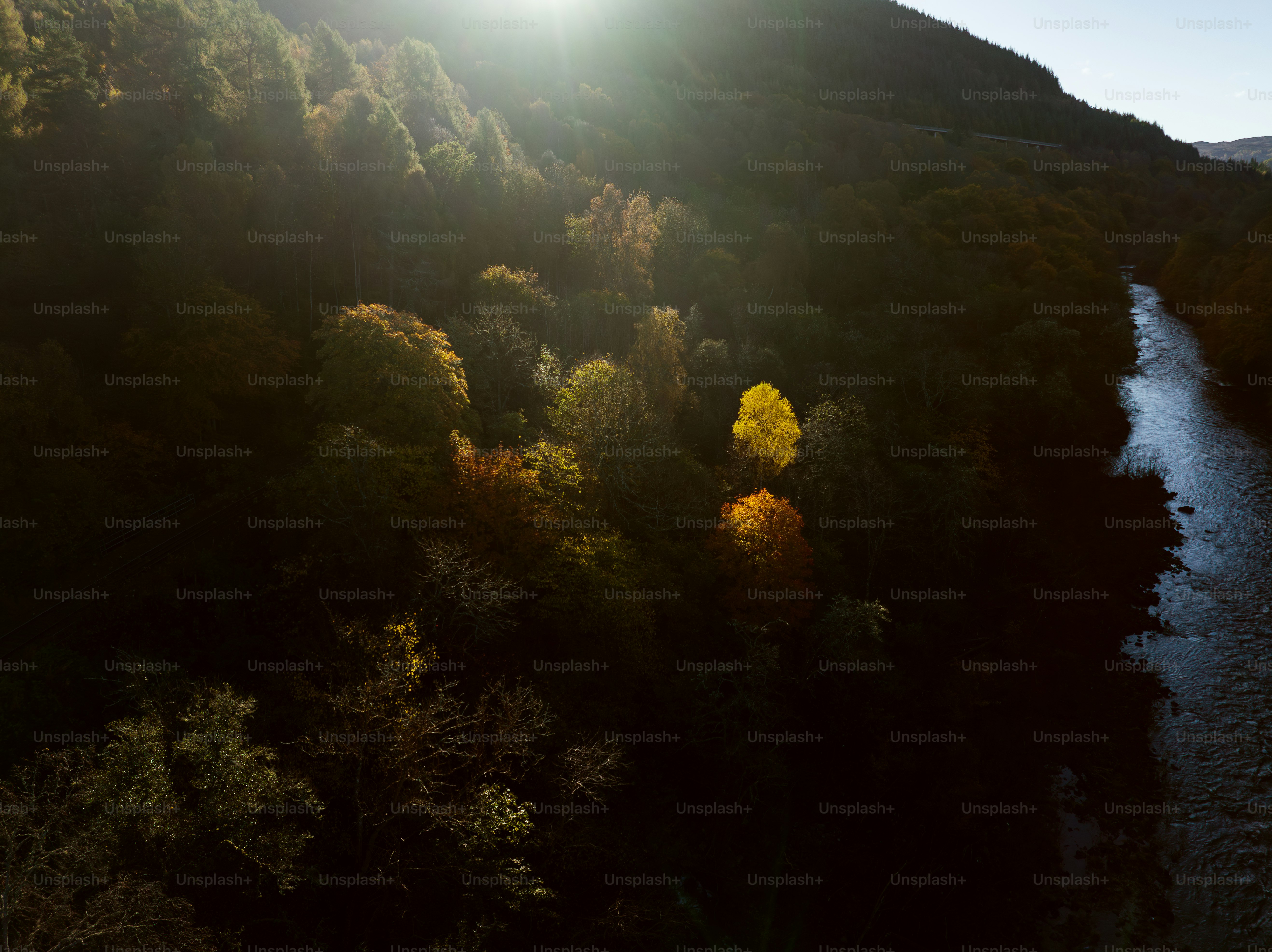 A hidden valley surrounded by towering cliffs and dense forests, bathed in golden sunlight with a winding river below.