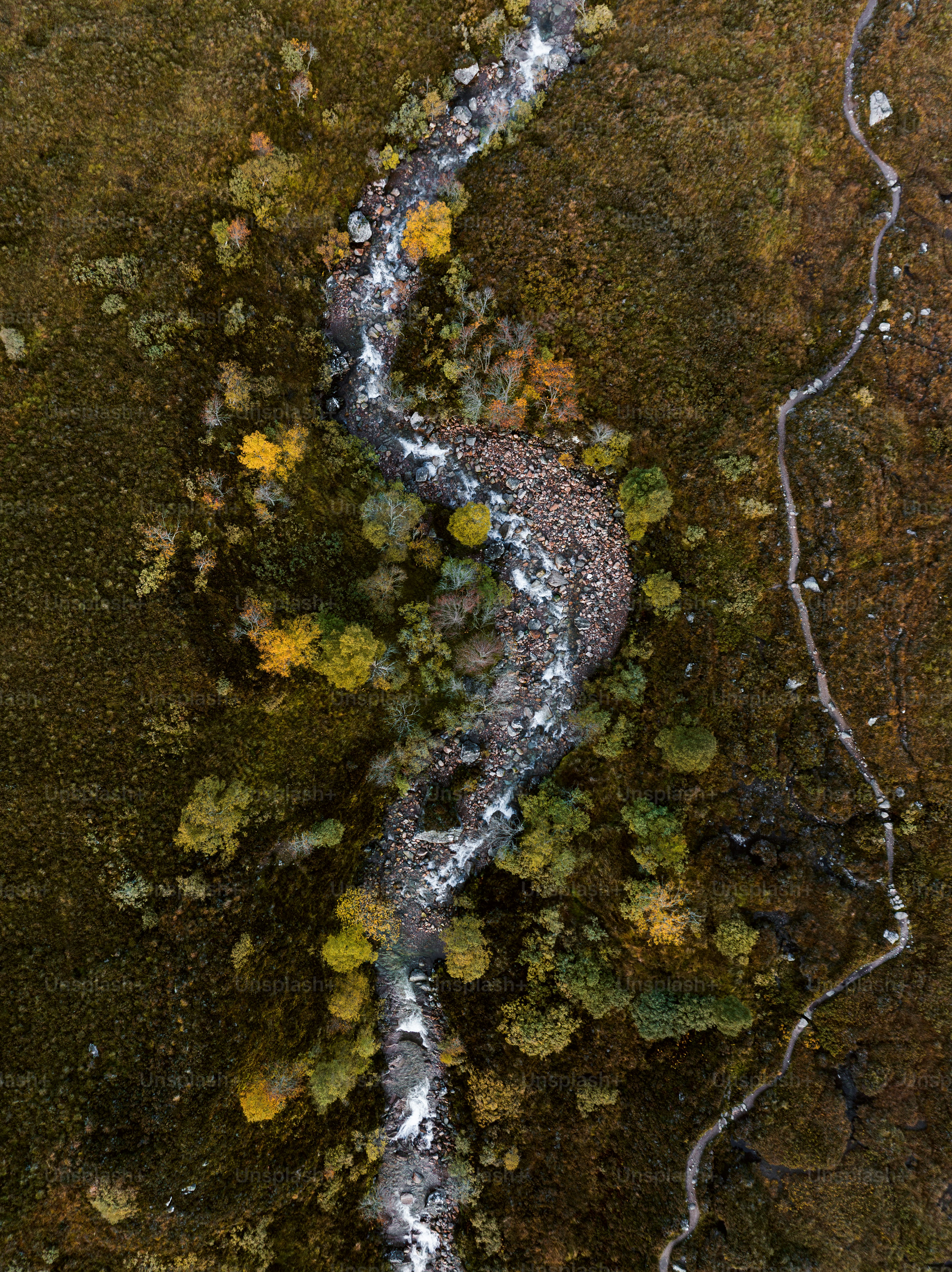 An aerial view of a river running through a forest photo – Pitlochry ...
