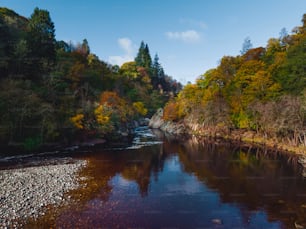 a river running through a lush green forest