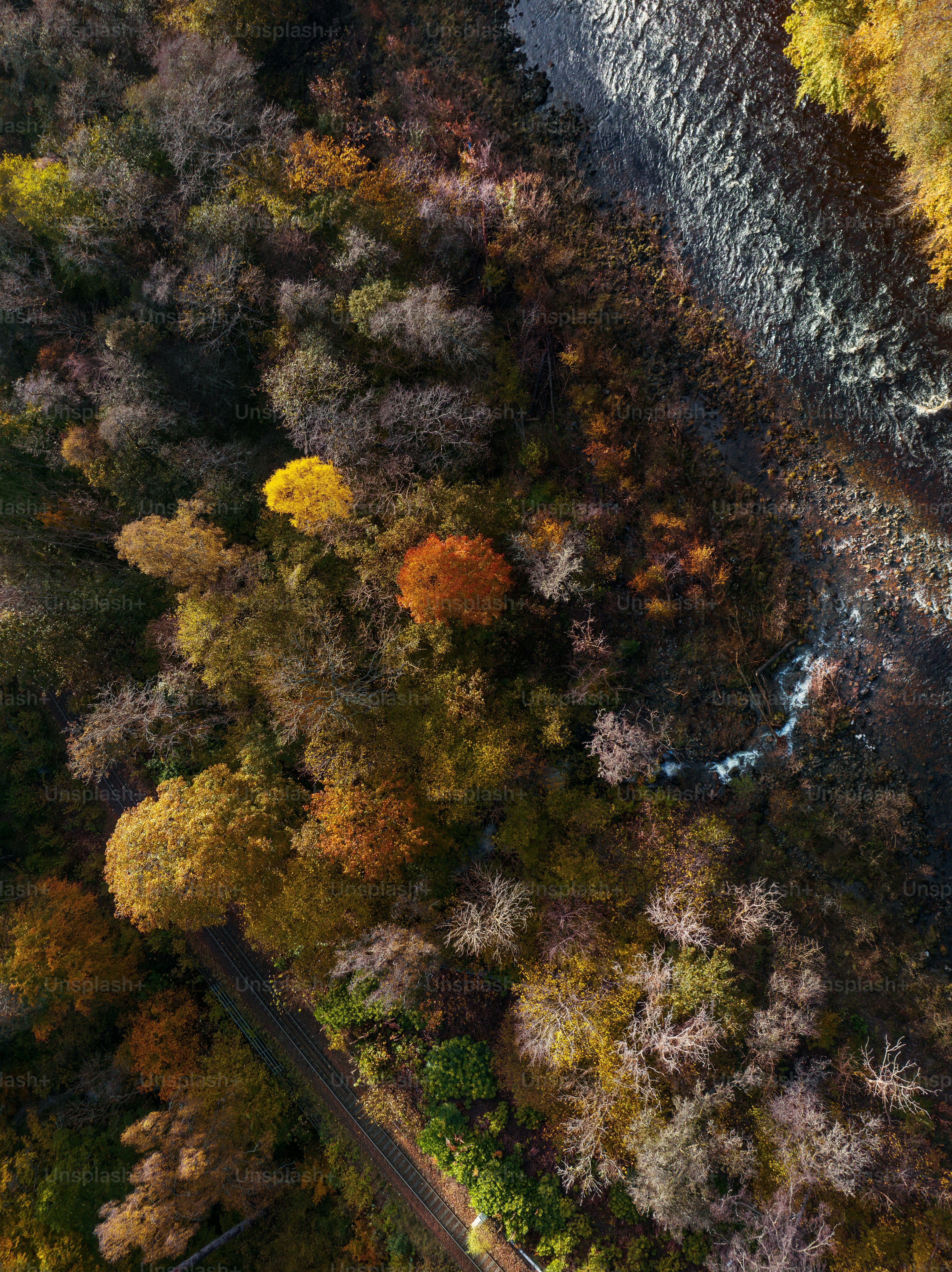 An aerial view of a river surrounded by trees photo – Killiecrankie ...