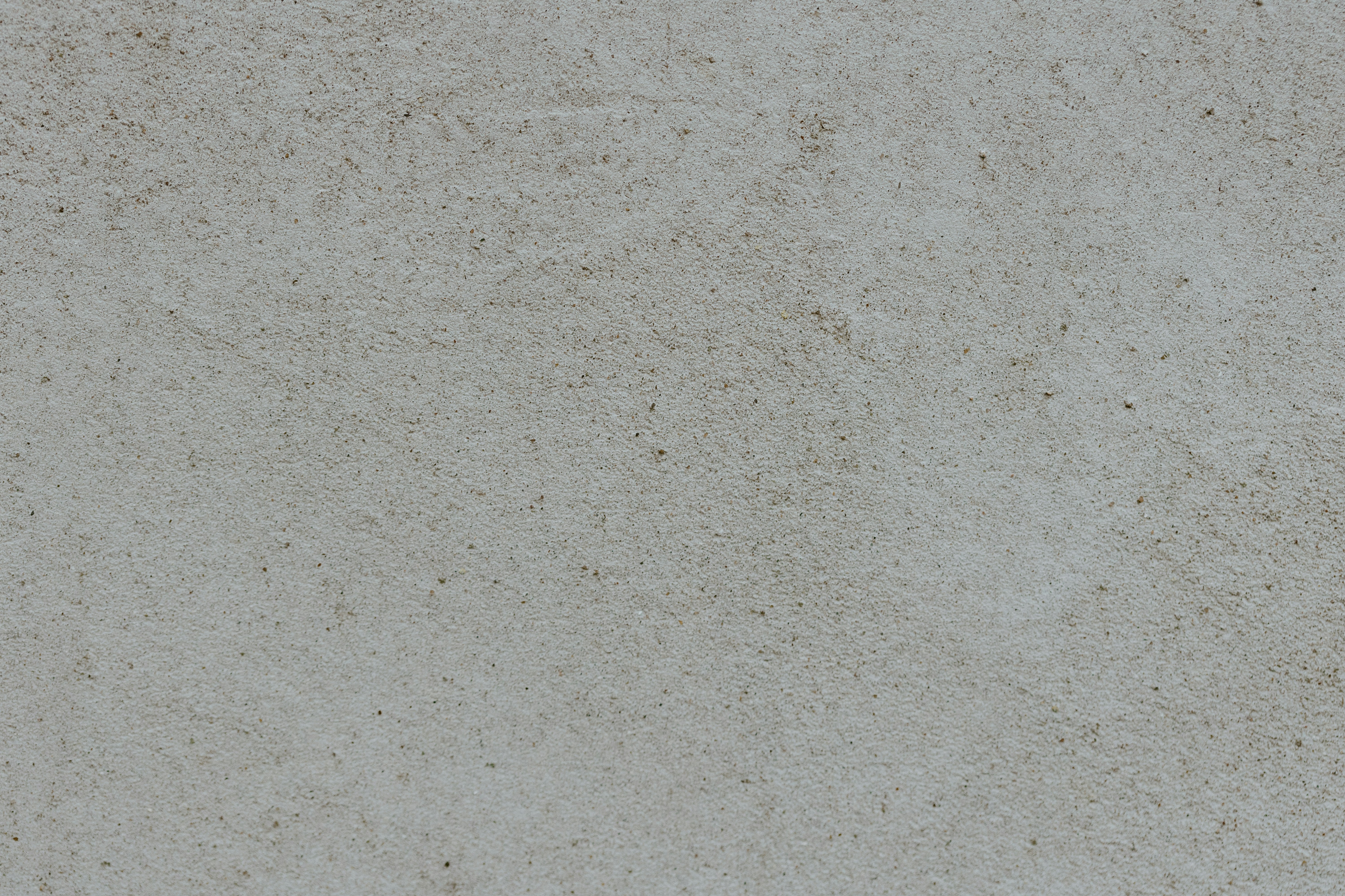 鳥が建物の棚にとまっています