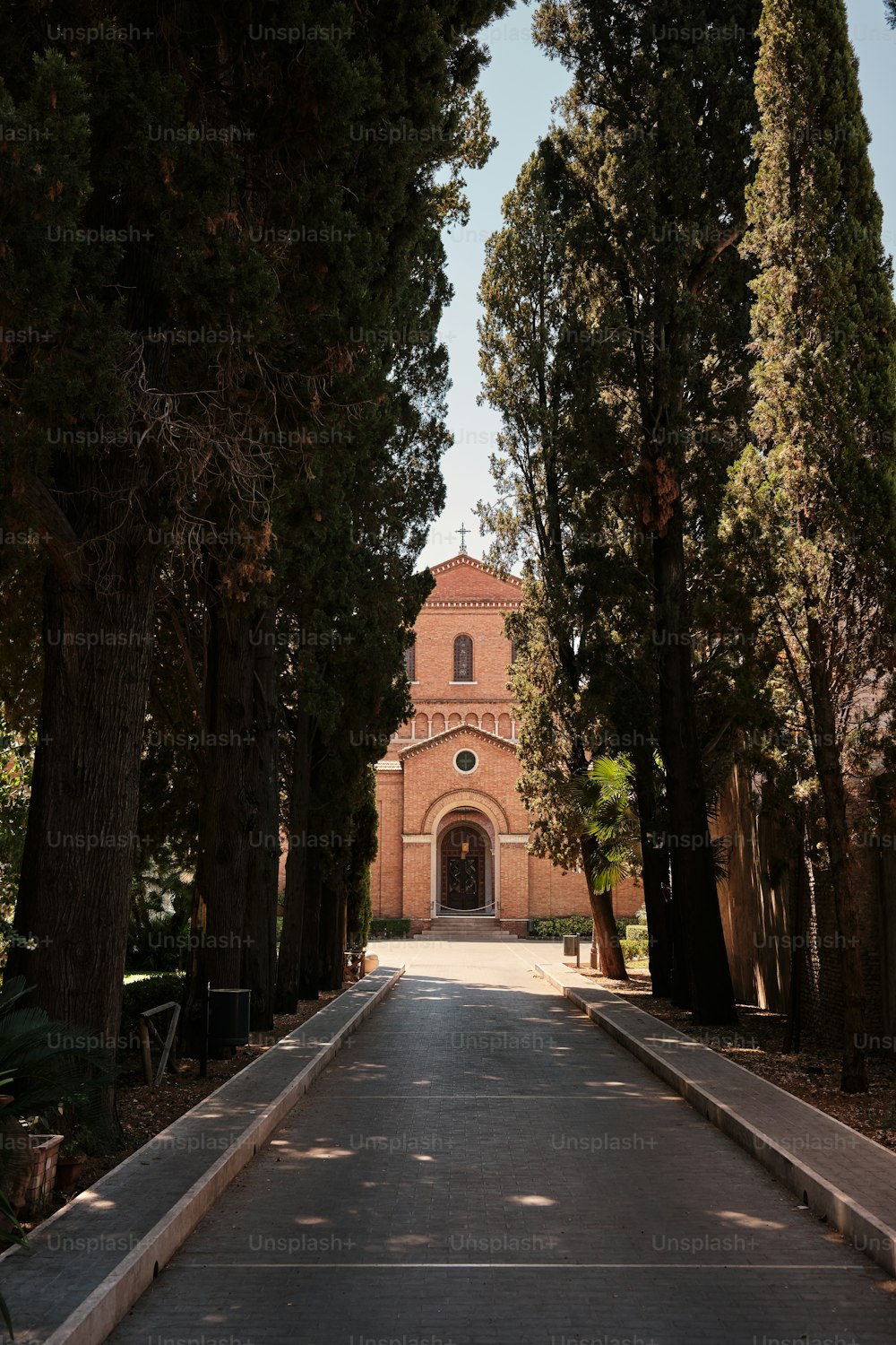 una carretera con árboles y un edificio al fondo