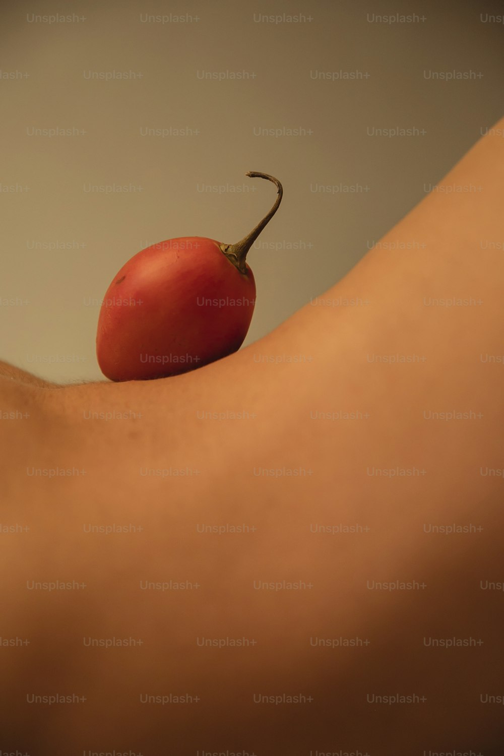 Un primer plano de una persona sosteniendo un tomate