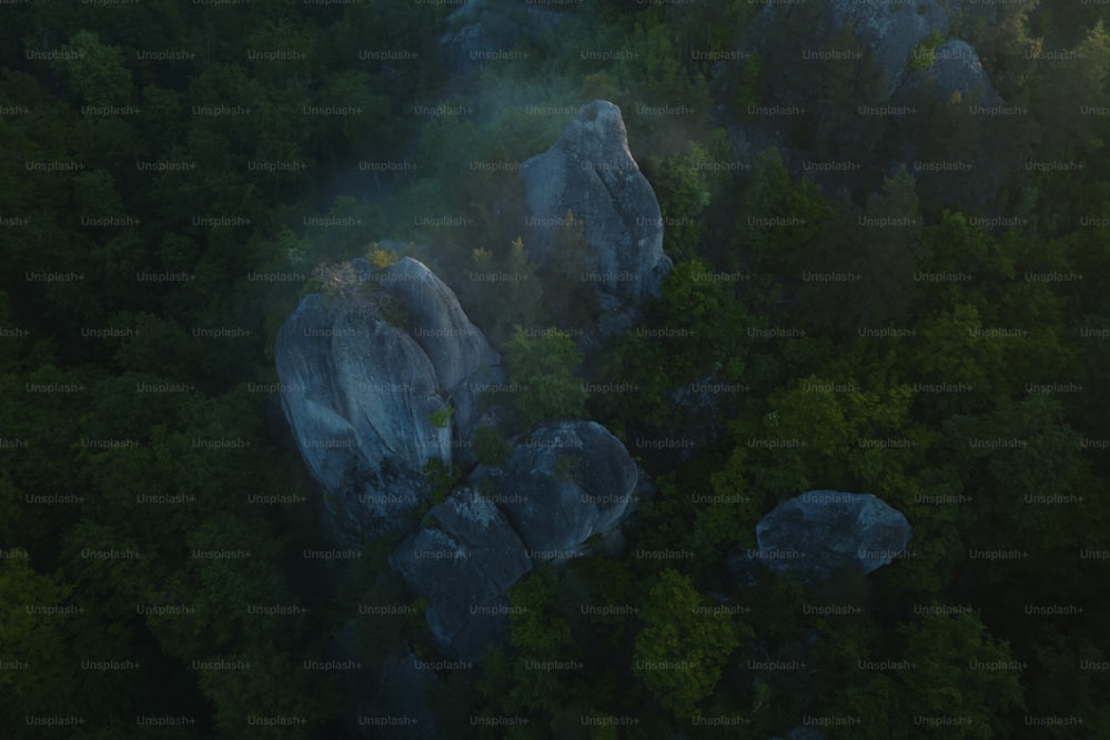 Luftaufnahme eines Waldes mit Felsen und Bäumen