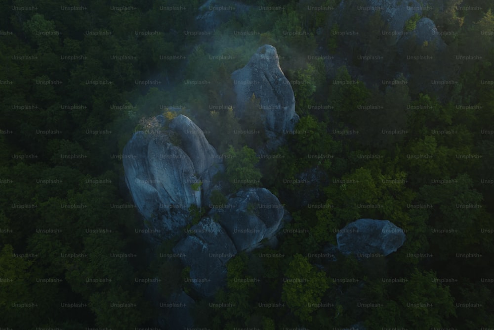 Una veduta aerea di una foresta con rocce e alberi