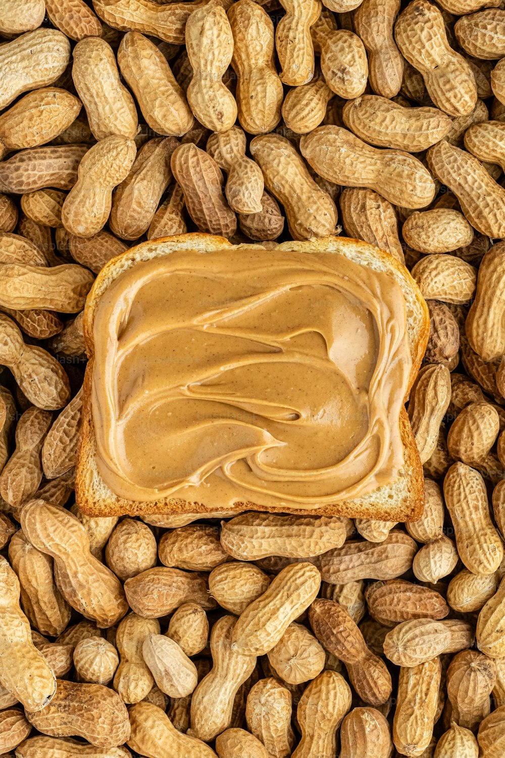 peanut butter spread on a piece of bread surrounded by peanuts