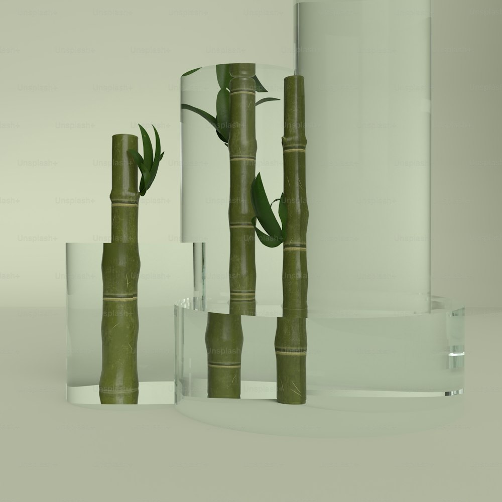 a group of glass vases with plants in them