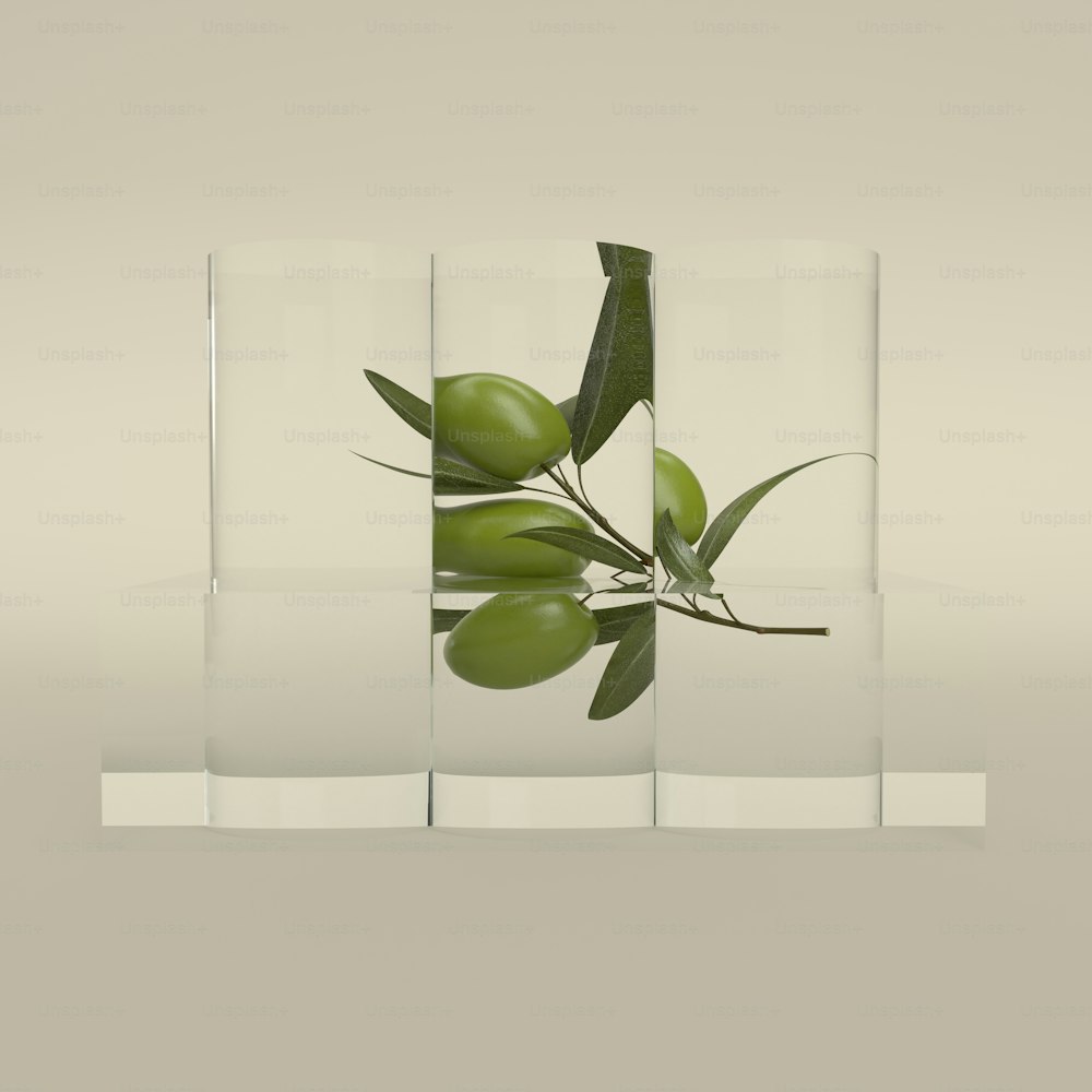 테이블 위의 유리 꽃병에 담긴 녹색 식물