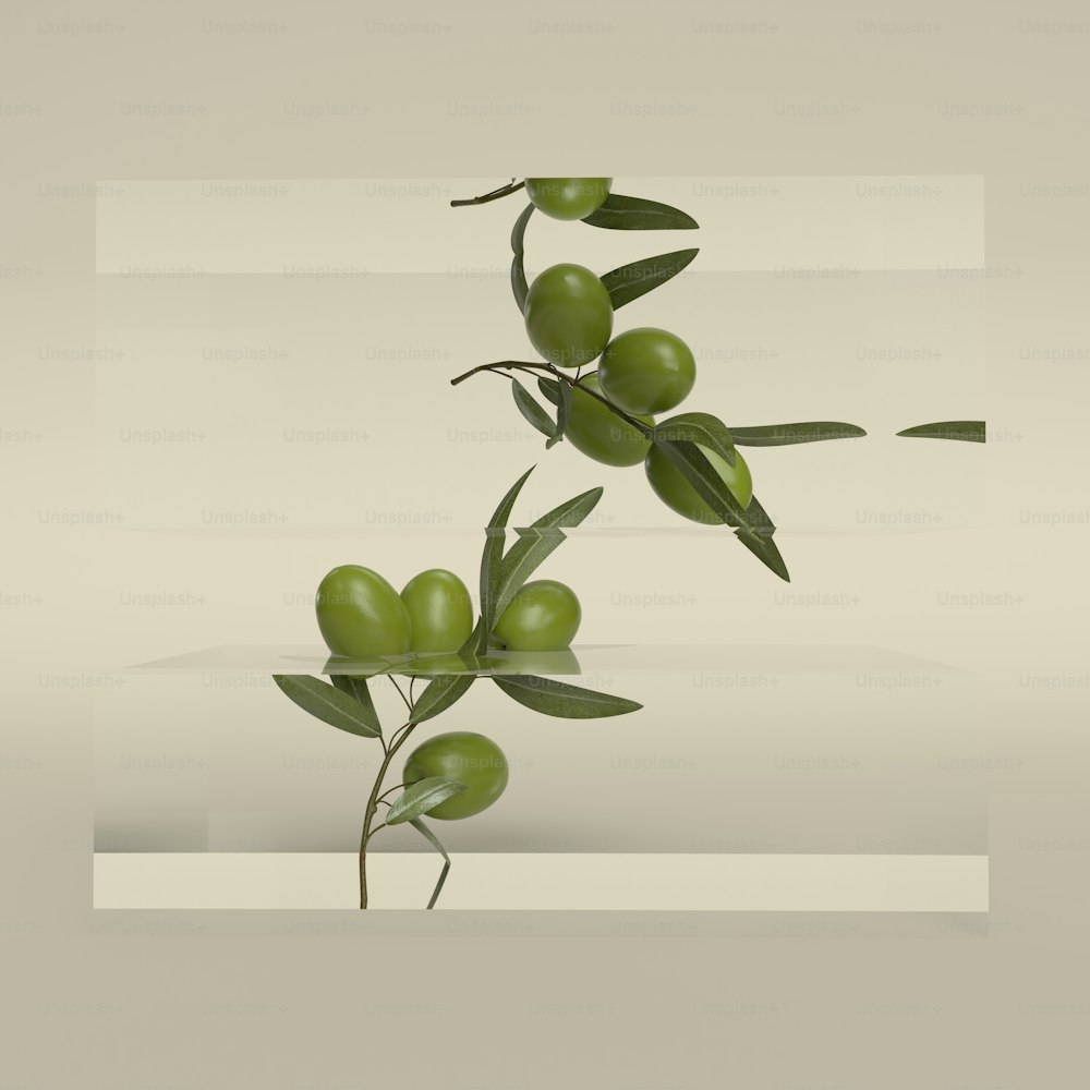 un ramo con olive verdi e foglie su sfondo bianco