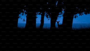 夜の森の鹿のシルエット