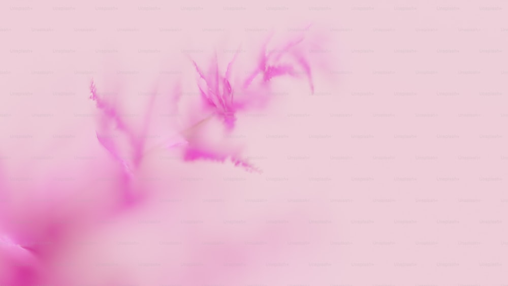 Ein verschwommenes Foto von rosa Blumen auf rosa Hintergrund