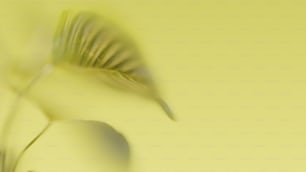 una foto borrosa de una planta con un fondo amarillo