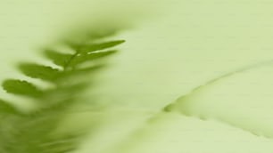 a close up of a fern leaf on a green background
