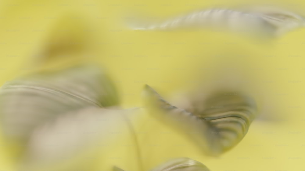 a blurry photo of leaves on a yellow background