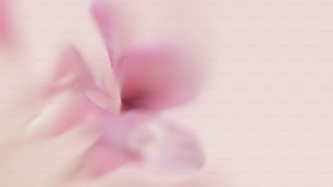 a blurry image of a flower on a pink background