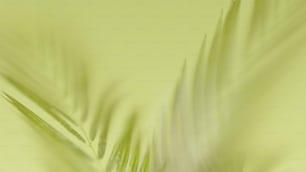 Ein verschwommenes Foto einer grünen Pflanze auf gelbem Hintergrund