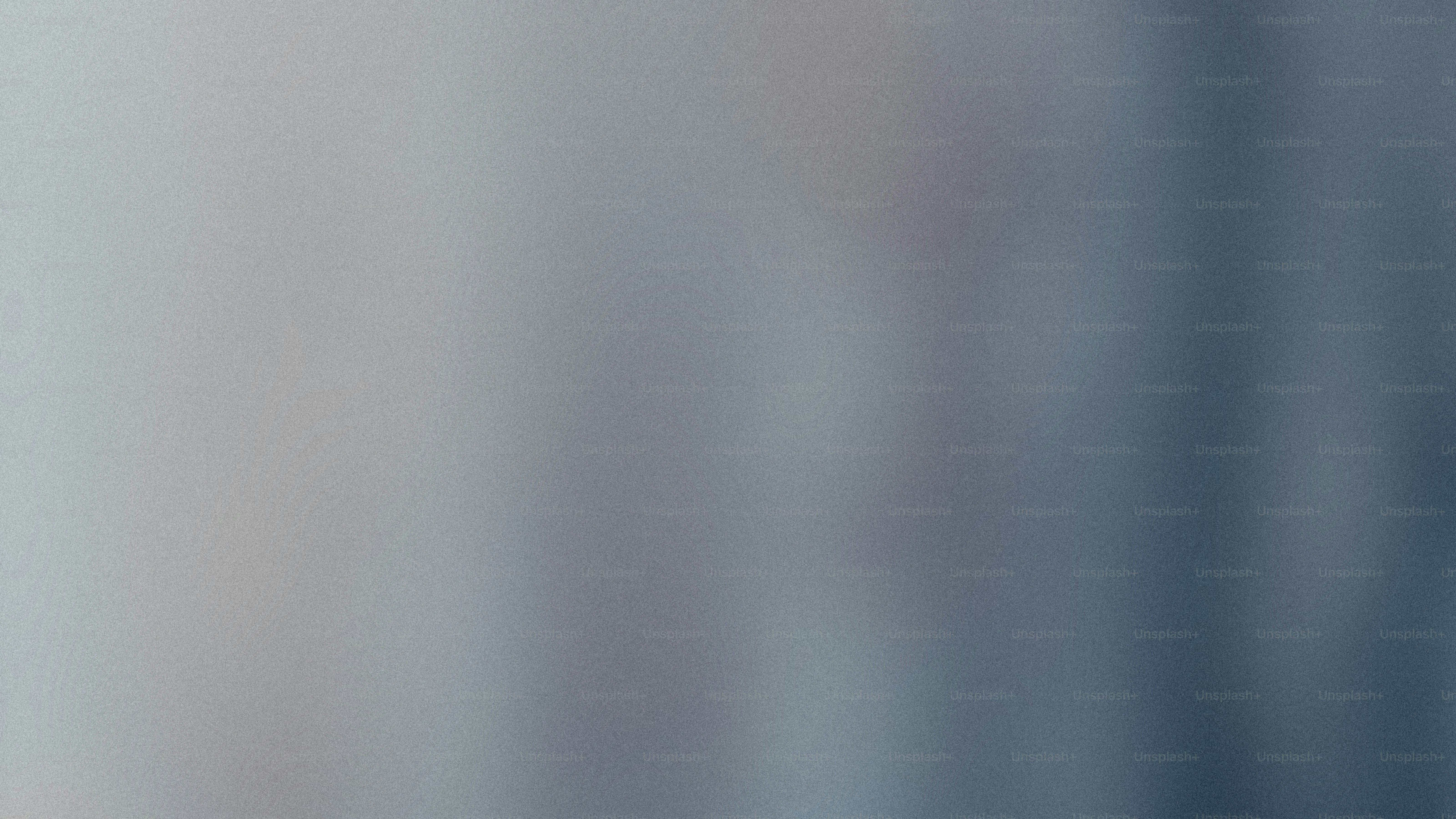 a close up of a bird flying in the sky