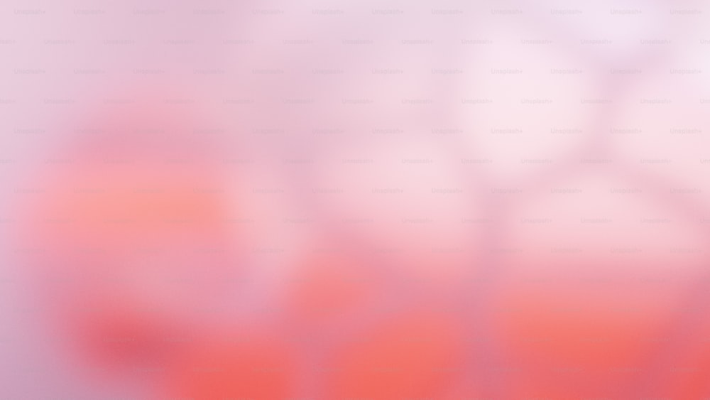 uma foto desfocada de um fundo vermelho e rosa