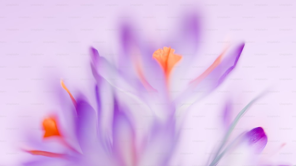 紫とオレンジの花のぼやけた写真
