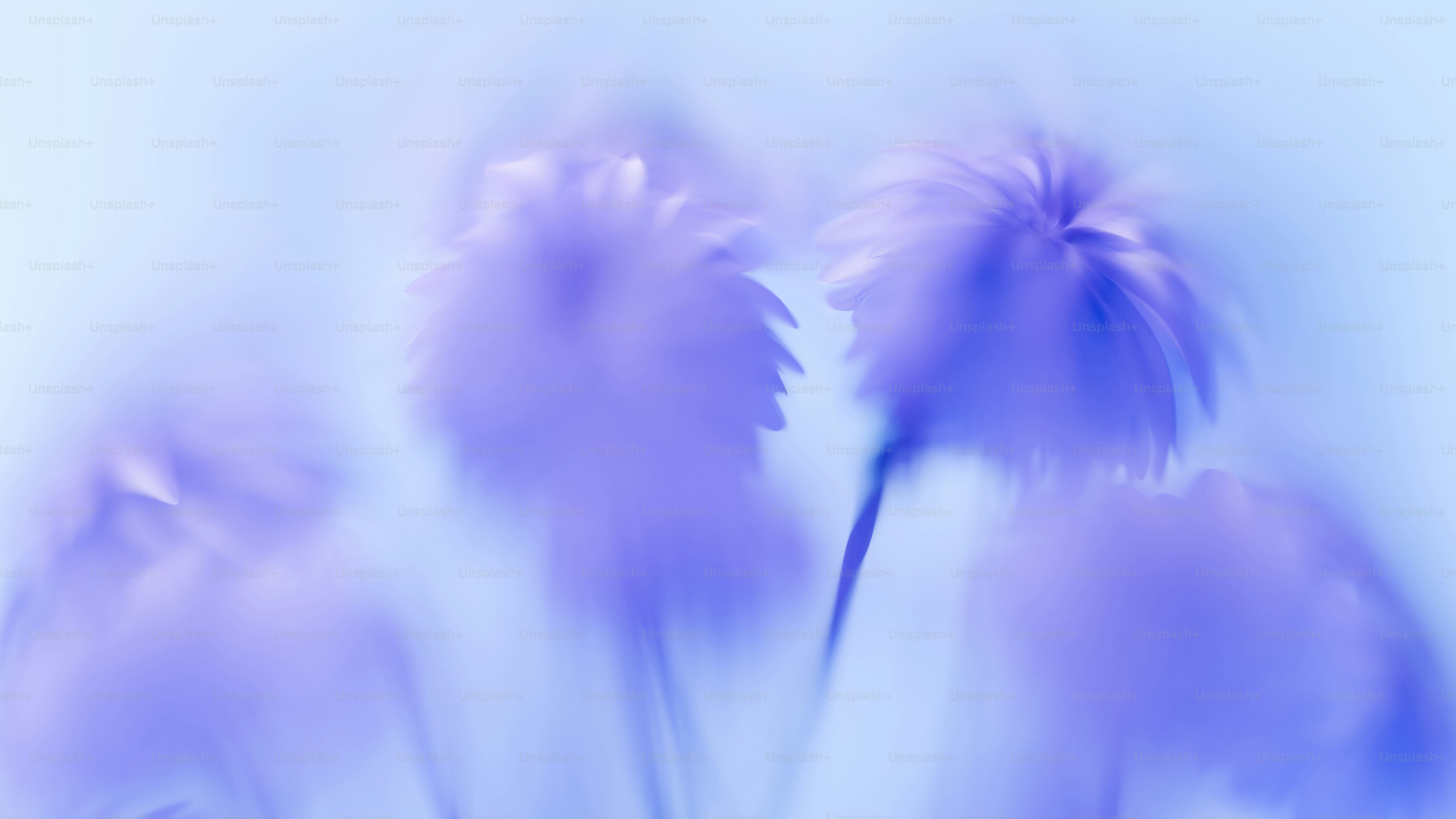 a blurry photo of a bunch of flowers