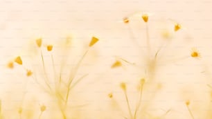 黄色い花の束の接写