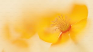 un primer plano de una flor amarilla con un fondo borroso
