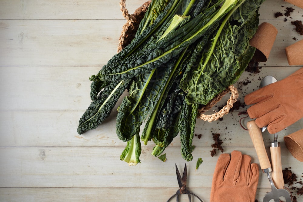 a pile of green vegetables sitting on top of a wooden table