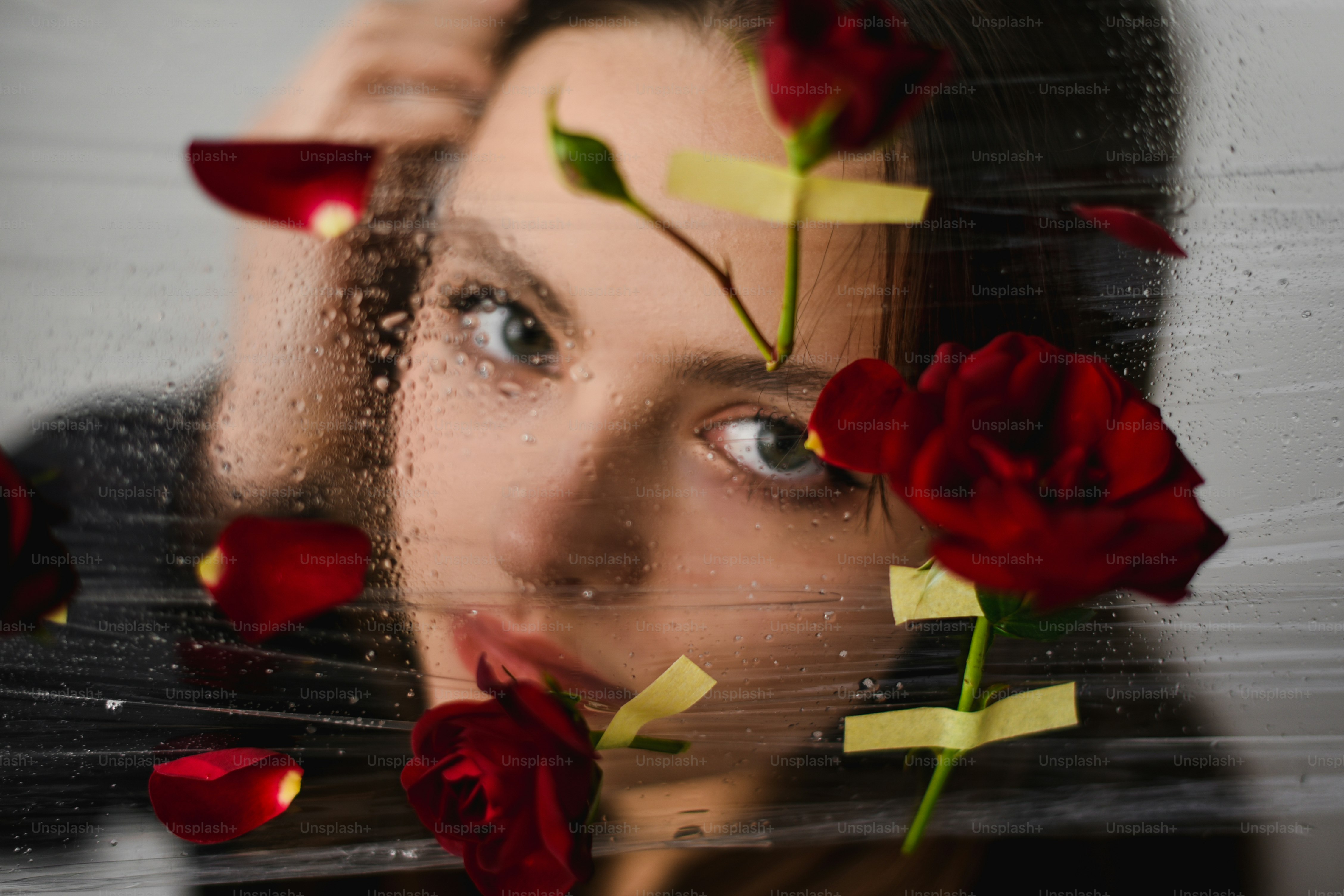 赤いバラの花を目の前にして窓から覗く女性